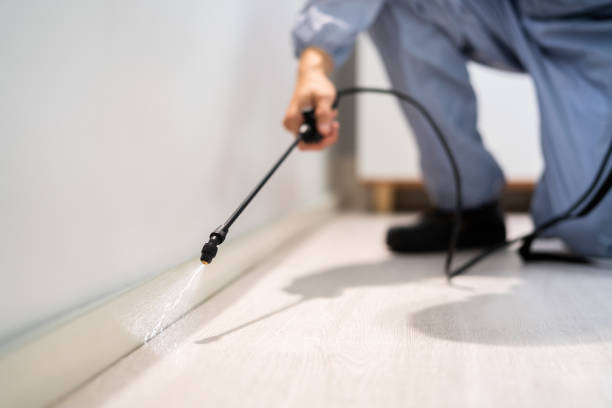 Licensed Wasp Removal service in Fritz Creek, AK - Show Me Pest Control