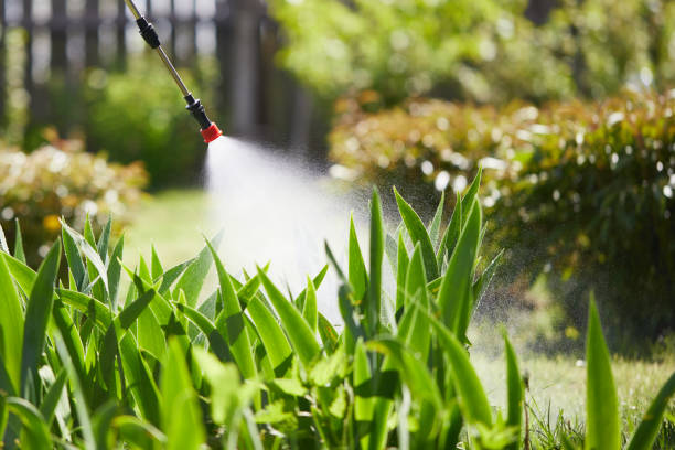 24/7 Emergency Wasp Removal experts in Fritz Creek, AK