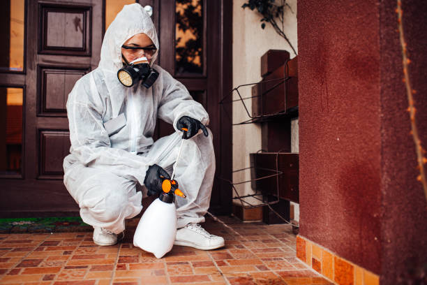 Reliable Wasp Removal contractor in Fritz Creek, AK by Show Me Pest Control