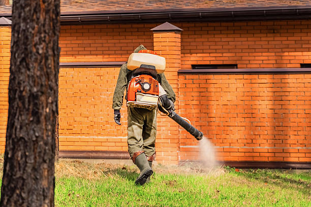 Top rated local Wasp Removal specialists in Fritz Creek, AK
